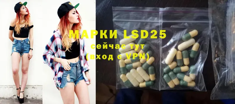 закладки  Кировск  ЛСД экстази ecstasy 